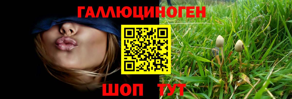 Ангарск  Галлюциногенные грибы ЛСД  Вход с VPN  Галлюциногенные грибы Psilocybe 